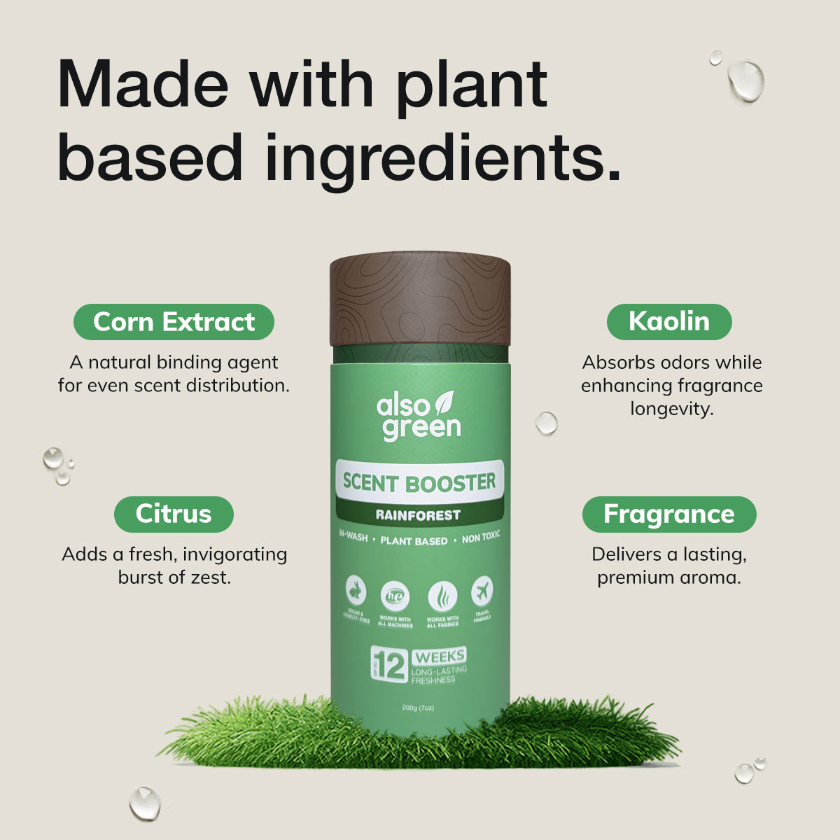 In-Wash Scent Booster – Rainforest