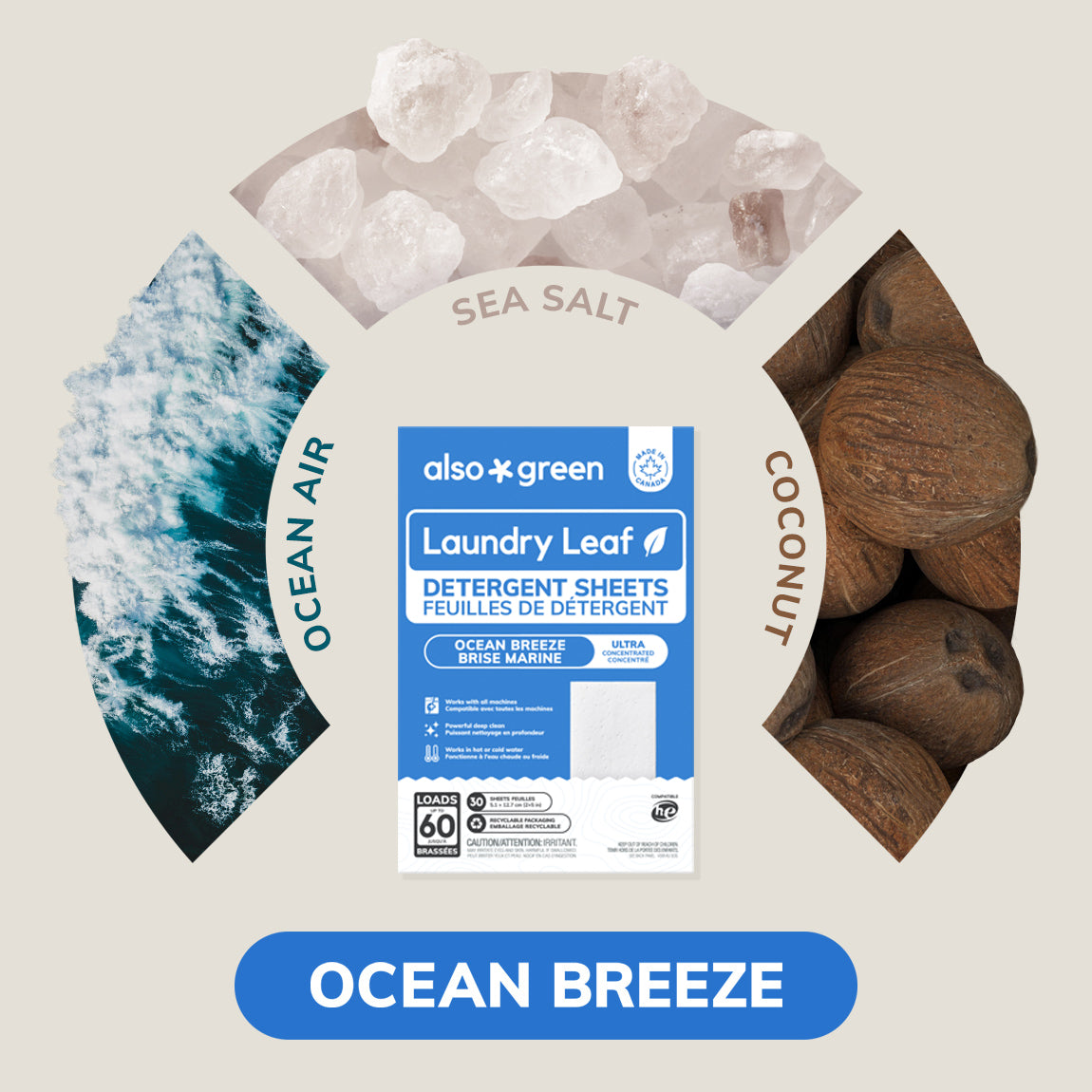 Laundry Detergent Sheets